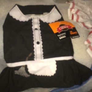 Great choice pet costume